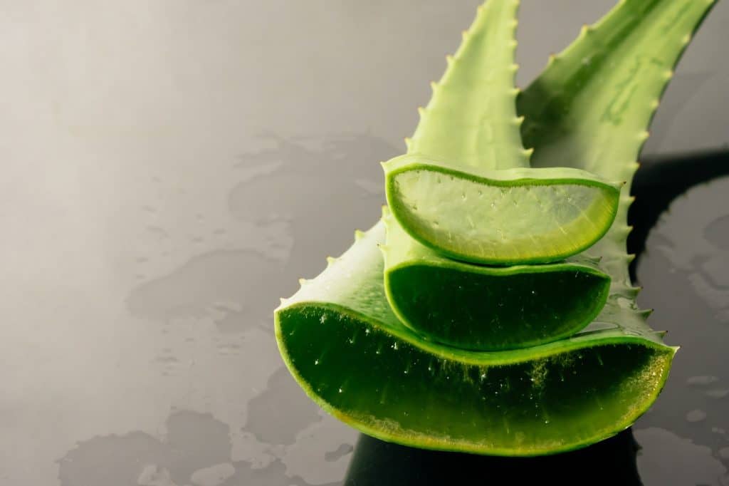 Aloe vera (Aloe barbadensis) is a spiky evergreen perennial (persistent) plant with fleshy and thickened parts