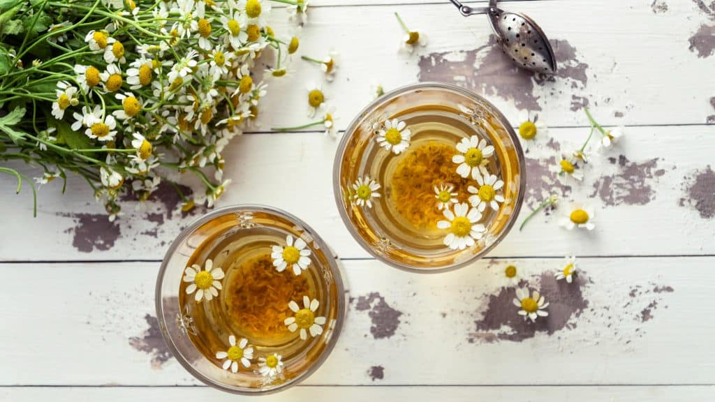 Chamomile is a medicinal herb of the daisy family (Asteraceae).Chamomile tea prepared from the plant's dried flowers is a popular health beverage.