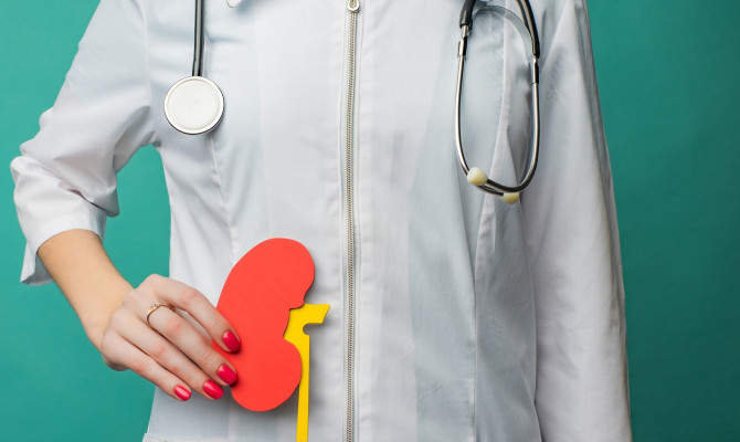Chronic Kidney Disease : Causes, Symptoms, and Management