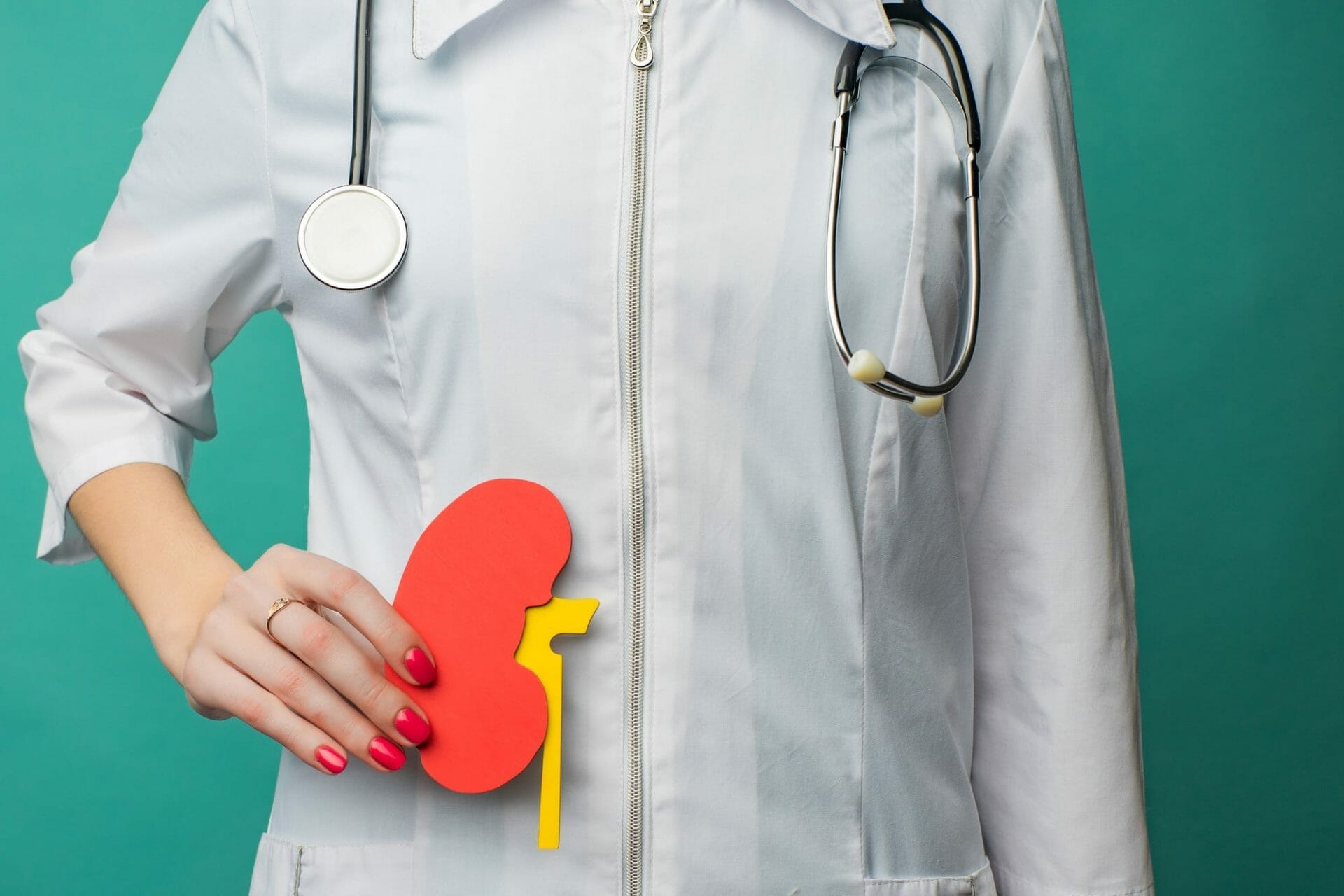 Chronic Kidney Disease : Causes, Symptoms, and Management