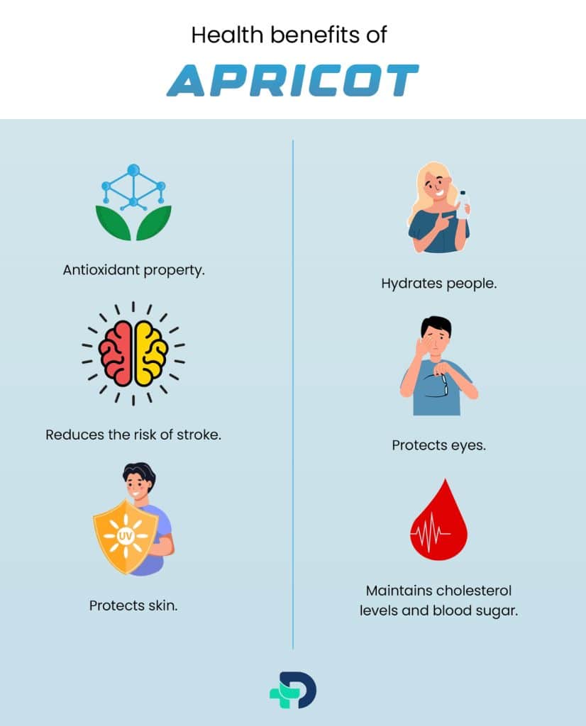 Health benefits of Apricot.
