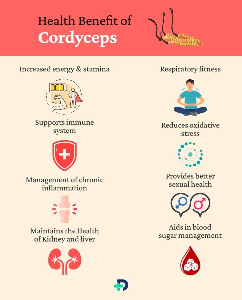 Health benefit of Cordyceps.