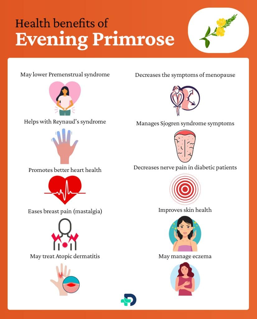 Health benefits of Evening Primrose .