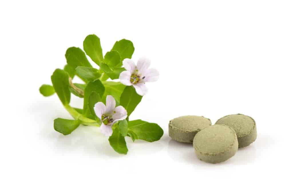 Bacopa, also known as Bacopa monnieri, is an herb used in traditional Ayurvedic treatment.