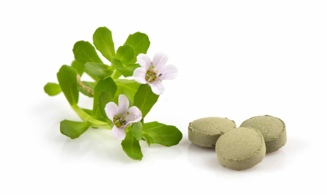 Bacopa : Health benefits, Side effects, and Interactions