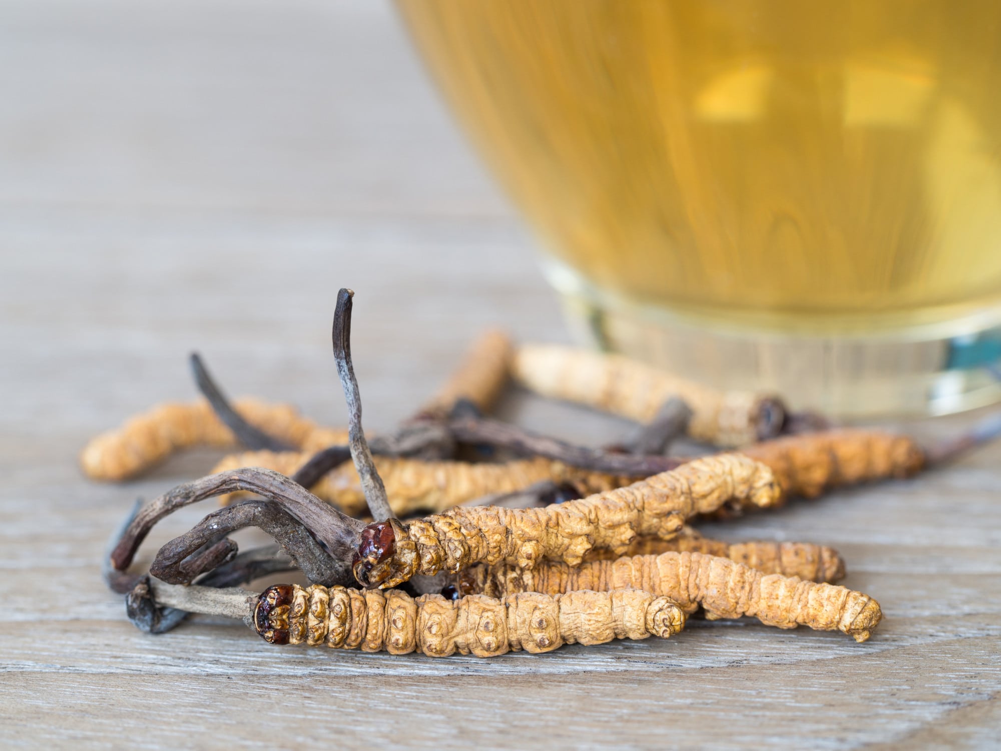 Cordyceps : Nature's Remarkable Fungi with Health Benefits