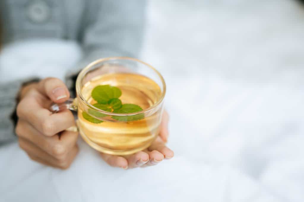 Few beverages worldwide can compare to green tea's time-honored charm and nutritional properties. Green tea is derived from the same Camellia sinensis plant as black, white, and olong tea.