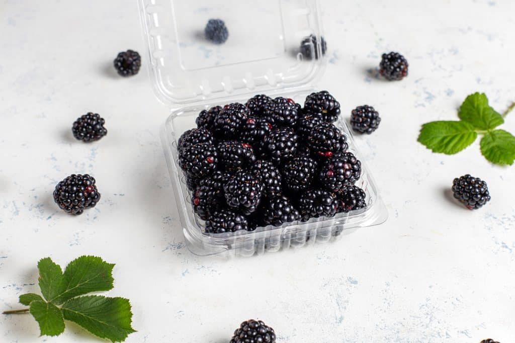 Blackberry is the delicious juicy fruit of a perennial plant belonging to the Rosaceae family. Blackberry is a versatile plant; fruit, leaf, and roots are used to make medicines.