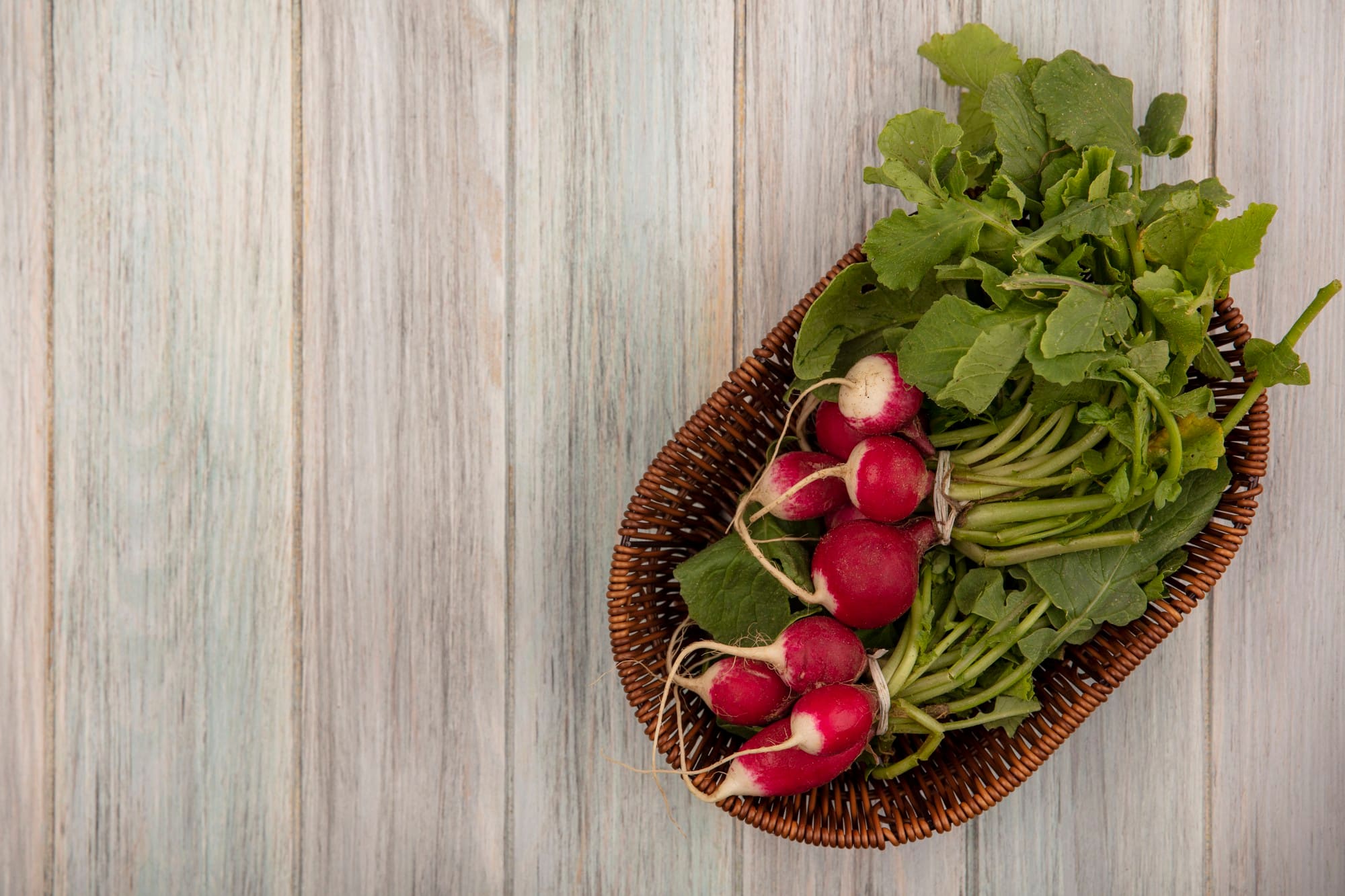 Embracing the nutritional powerhouse : Beet greens