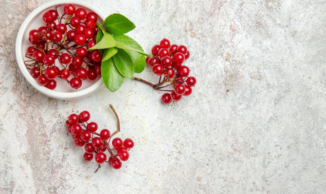 Cranberry and its health benefits