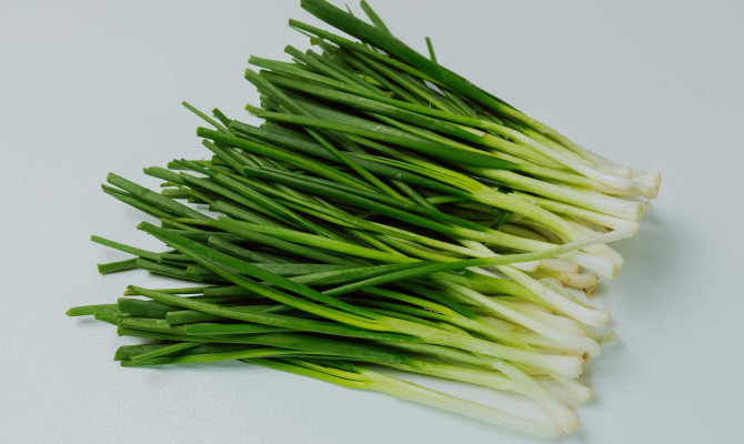Health Benefits of Chives : A Valuable Crop