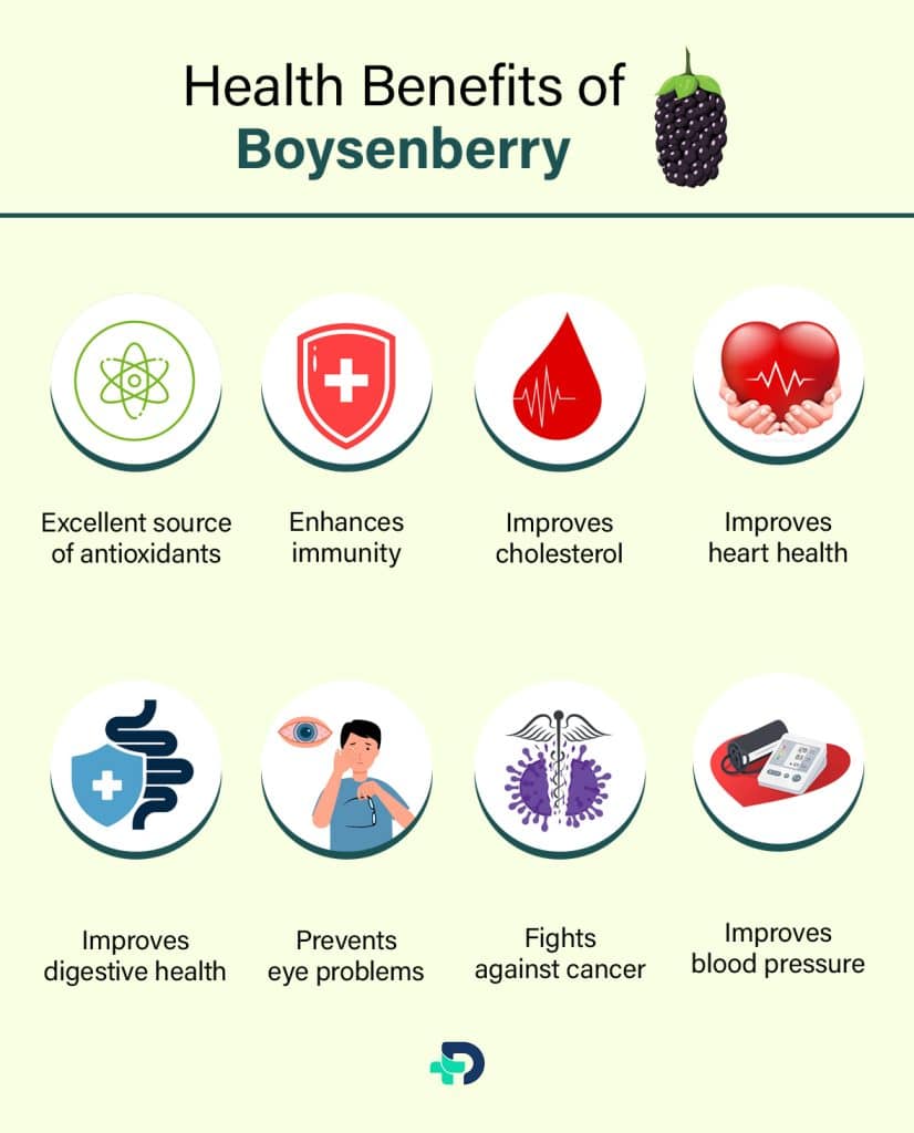 Health benefits of Boysenberry.