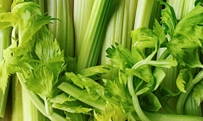 Celery: Health benefits and Nutrition