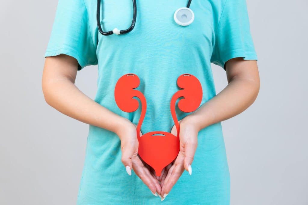 Kidney infection is among a variety of infections that may affect the urinary system. Kidney infection is a widespread happening. It is specifically common among teens and young adult females.