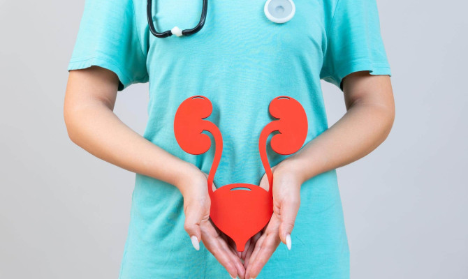 Kidney Infection: Causes, Symptoms, and Treatment