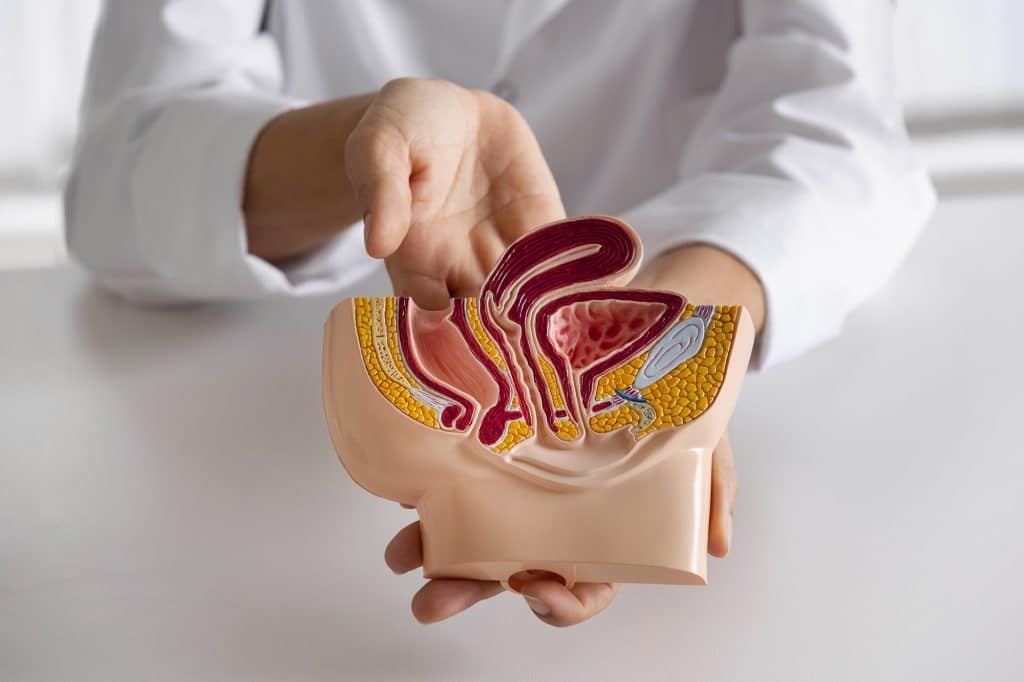 Anal cancer is a type of cancer in which the large and last part of the bowel undergoes metastasis. 