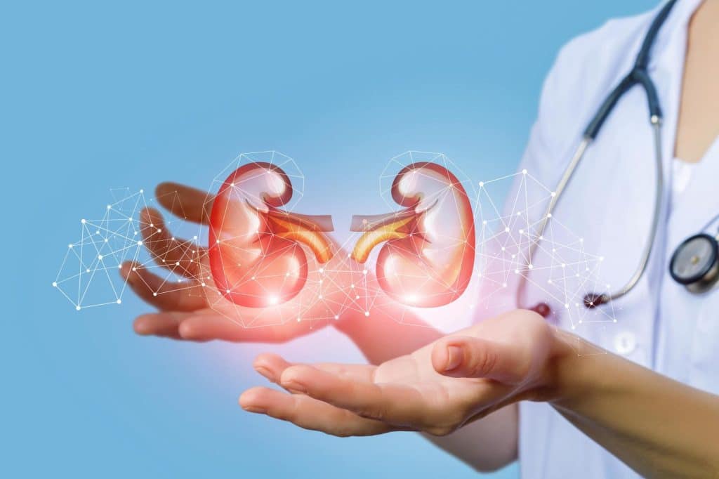 Kidney cancer is the aberrant and uncontrolled growth of kidney cells. It also known as renal cancer are not very uncommon, they are among the 10 most common cancers around the world.