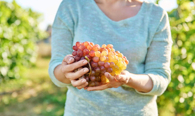 Grapes: Nutrition, Benefits, Side effects and Precautions