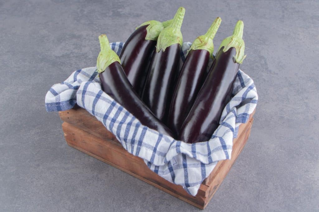 Eggplant is a gastronomic joy and a nutritional powerhouse, distinguished by its vivid purple color and unusual shape. This versatile vegetable has long been praised for its many health advantages because it is brimming with essential vitamins, minerals, and distinctive phytochemical components.
