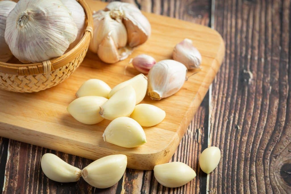 Garlic has been revered for its culinary prowess, medicinal properties, and intriguing folklore. It is called as Allium sativum in science and has been grown by numerous civilizations throughout history.