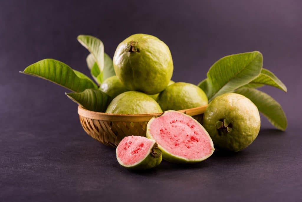 Guava stands out among fruits as a nutritional powerhouse with various health advantages that have drawn the interest of health enthusiasts and researchers.