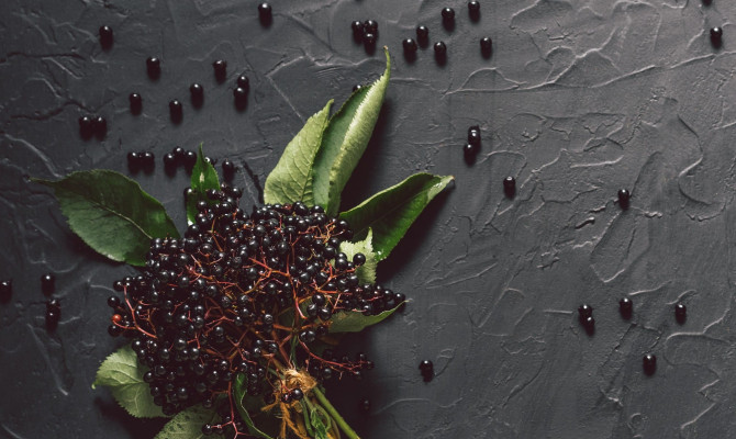 Delicious Elderberry: Exploring the Nutrition and Health Benefits