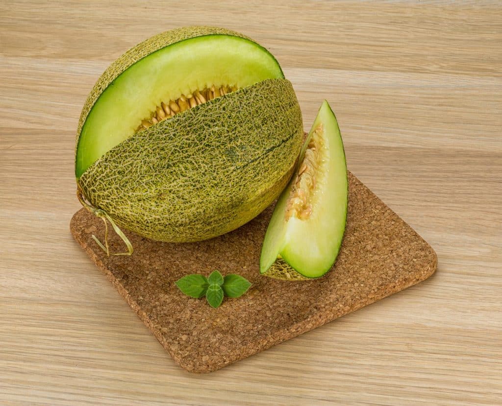 The honeydew melon, whose scientific name is Cucumis melo var. inodorus, is a member of the Cucurbitaceae family, which also contains cucumbers and cantaloupes.