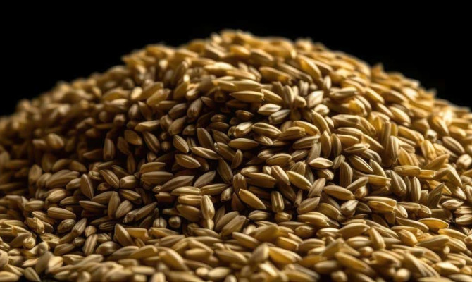 Unveiling the Nutrition and Benefits of Freekeh