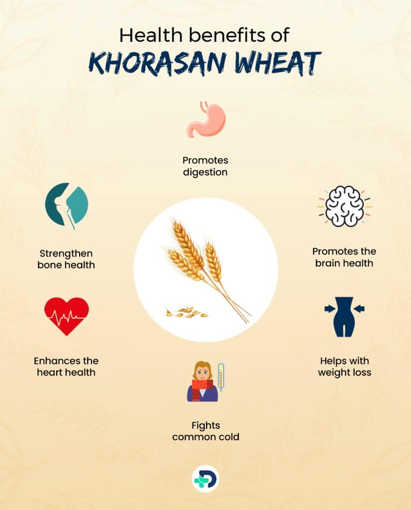Health benefits of Khorasan Wheat.