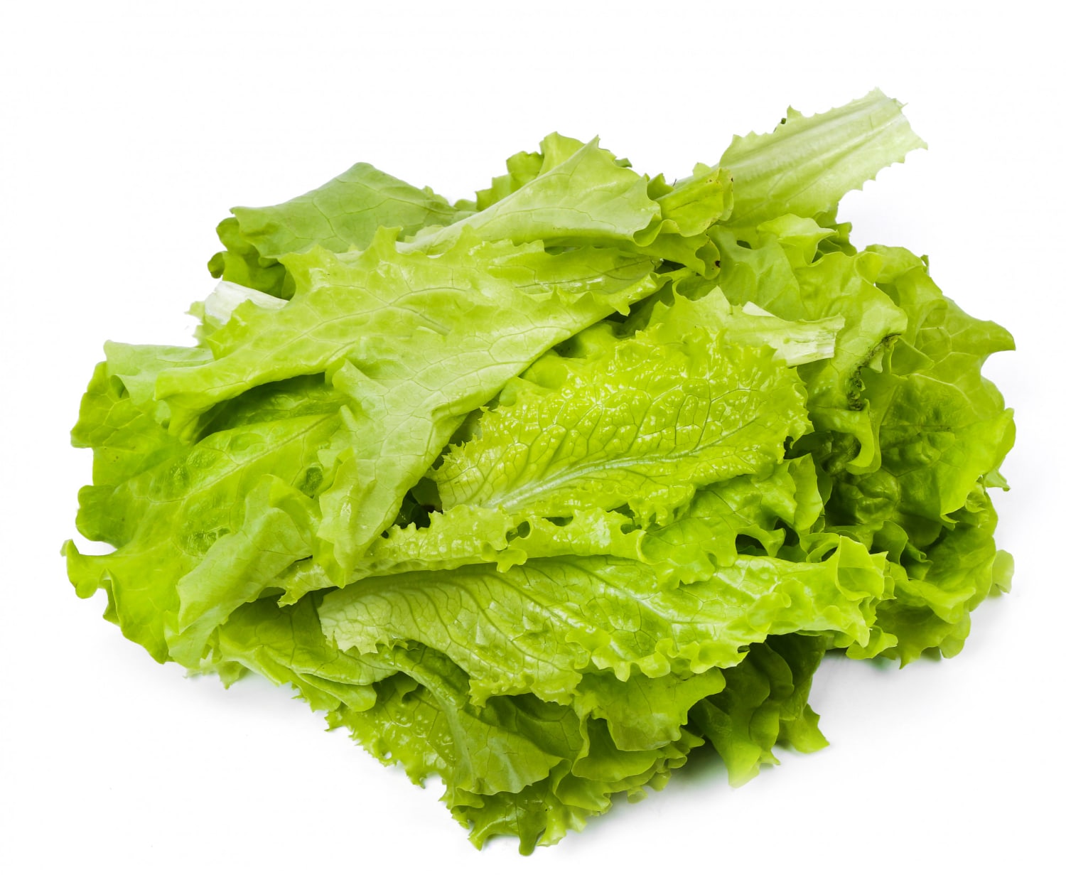 Nutrition and Health benefits of Lettuce