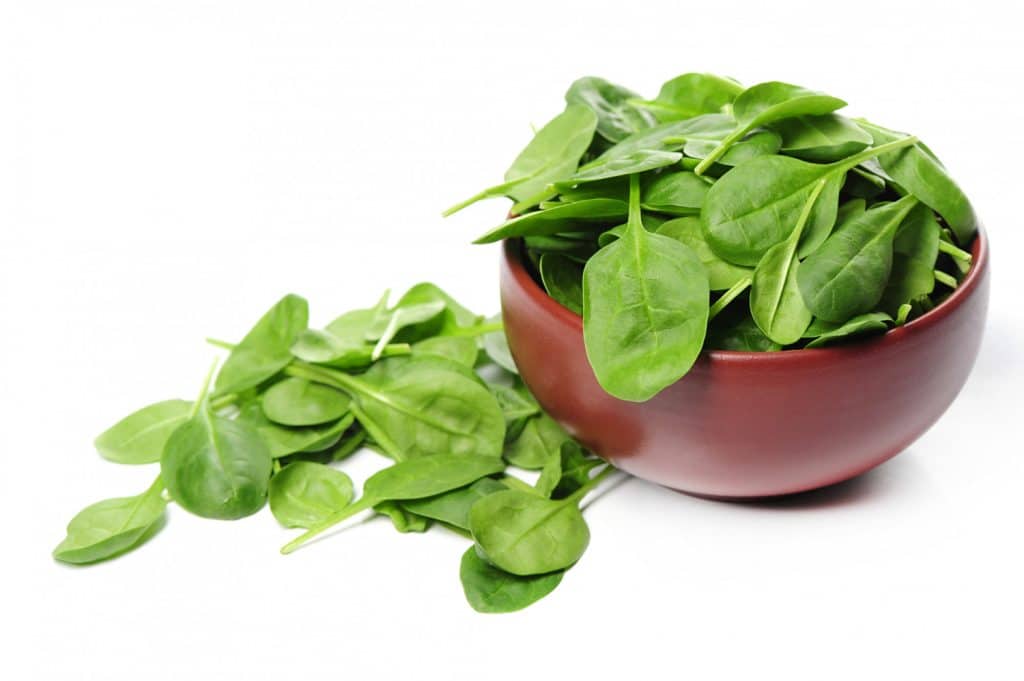Spinach, a vegetable with a leafy green color and the scientific name Spinacia oleracea, belongs to the Amaranthaceae family.