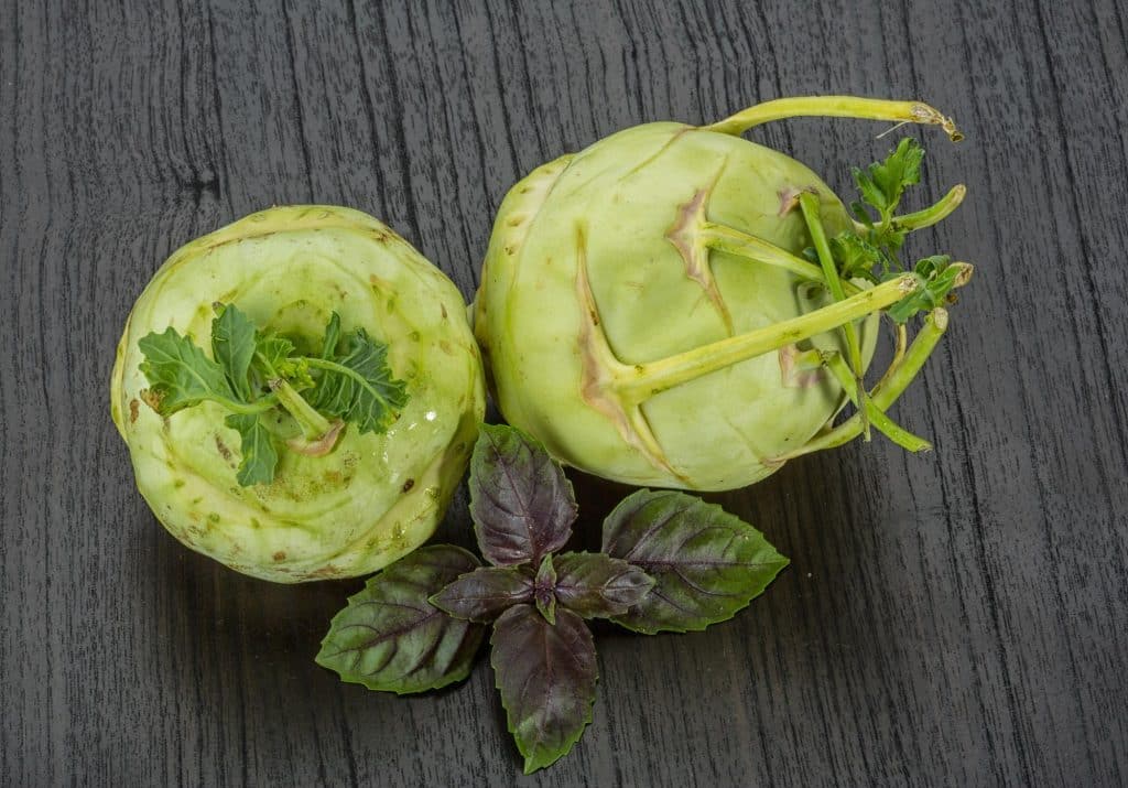 Kohlrabi is a Brassica vegetable from the mustard family (Brassicaceae). It is a related vegetable like broccoli, cauliflower, cabbage, kale, and mustard greens. It has a green, purple, white round swollen bulb and elongated leafy stems. 