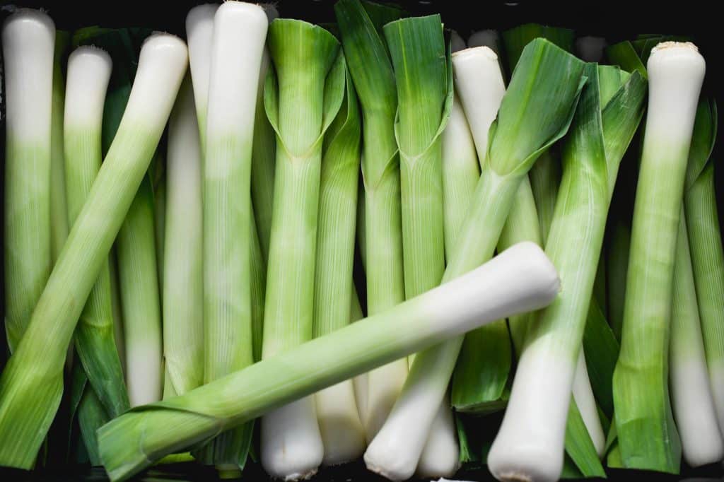 Leeks, also known as Allium porrum or Allium ampeloprasum, are the unsung heroes of the vegetable world and have been cherished for ages across diverse cuisines for their distinct flavor and several health benefits.