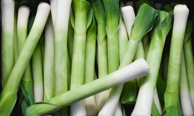 All About Nutritious Leeks