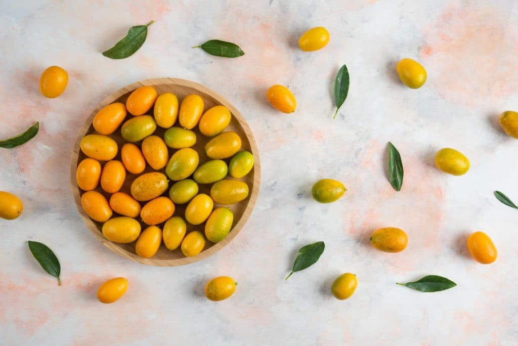 Kumquats are little citrus gems that stand out among all the other fruits for their distinctive blend of sweetness and tanginess. The kumquat is a lovely tiny fruit that is thought to have originated in China and has migrated to other Asian countries such as Japan and Southeast Asia.
