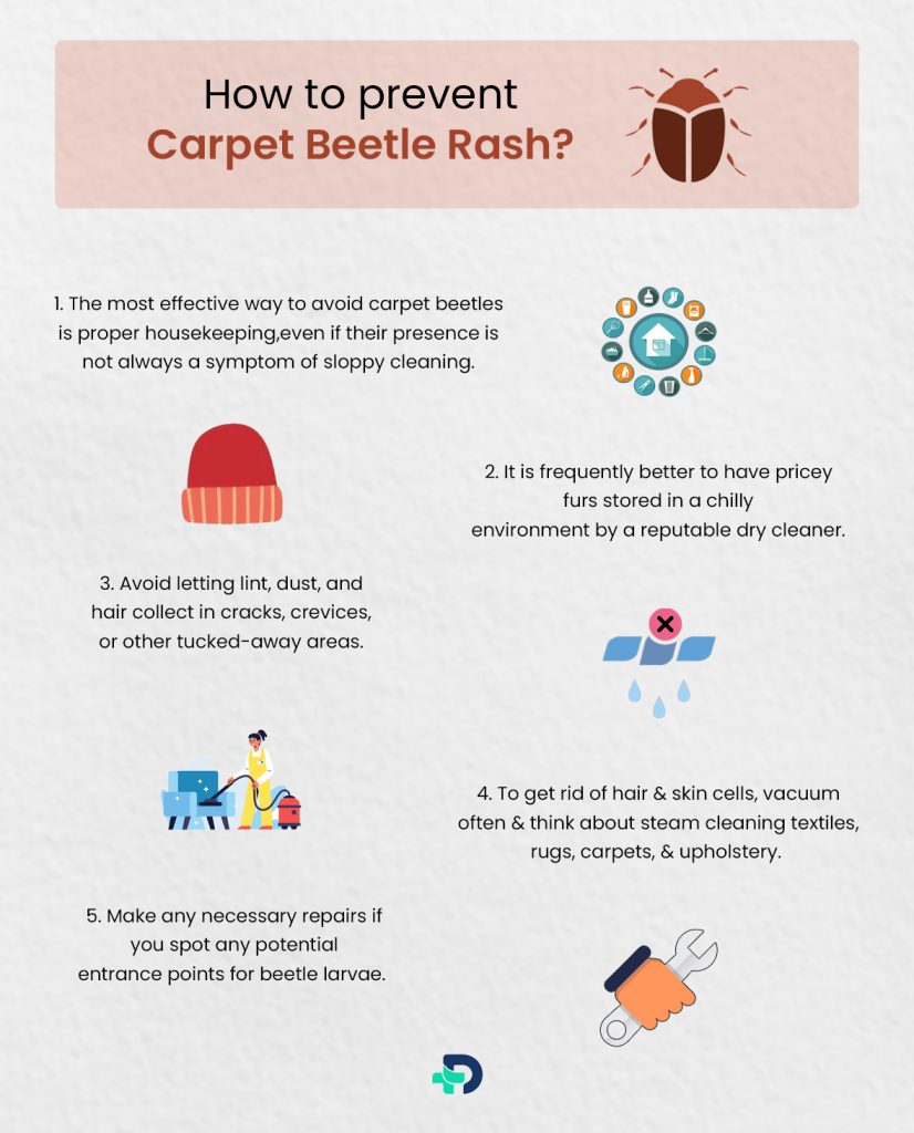 How to prevent Carpet Beetle Rash?