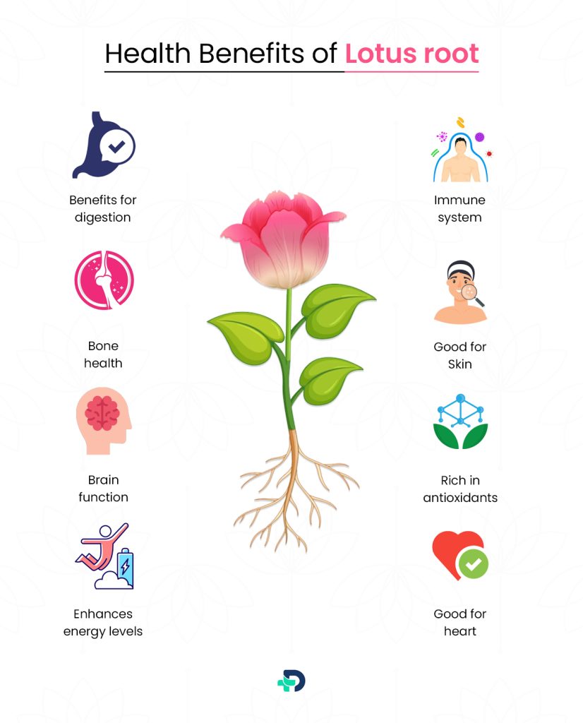 Health benefits of Lotus Root.