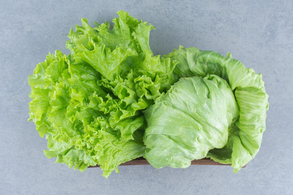 Lettuce and cabbage, humble yet essential vegetables in culinary delights, are often at the center of our salads, sandwiches, and stews.